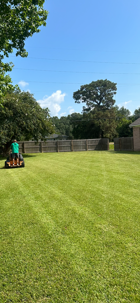 Lawn Care for All-Star Lawn Care & Soft Washing in Mobile, AL