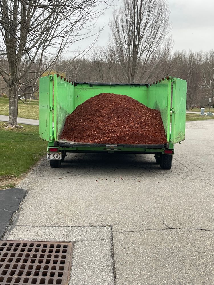 All Photos for DMC Dumpsters in Wappingers Falls, NY