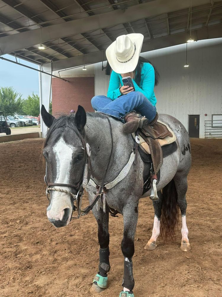 All Photos for Florida Native Equestrian Development in Central Florida, FL