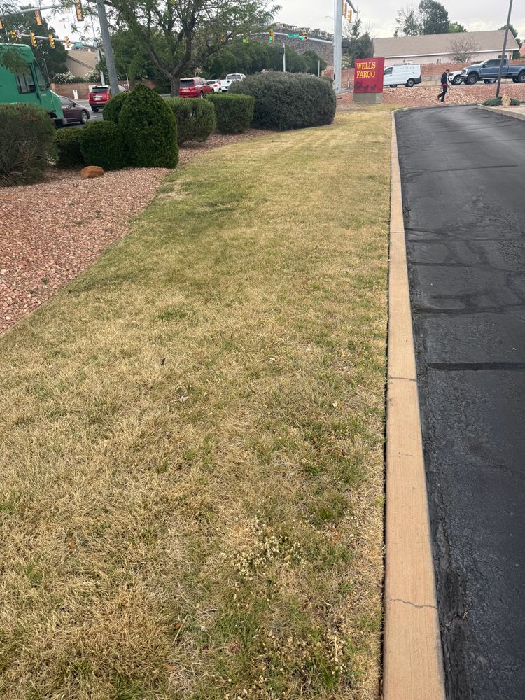 All Photos for Platinum Lawn Service in Santaquin, UT