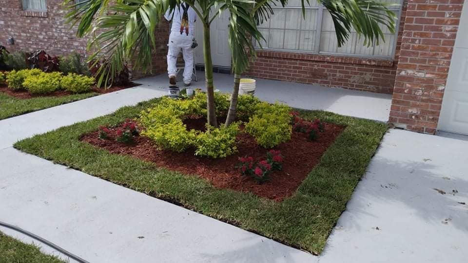 Landscaping for Wallack And Sons Landscape Design And Management in Hollywood, Florida