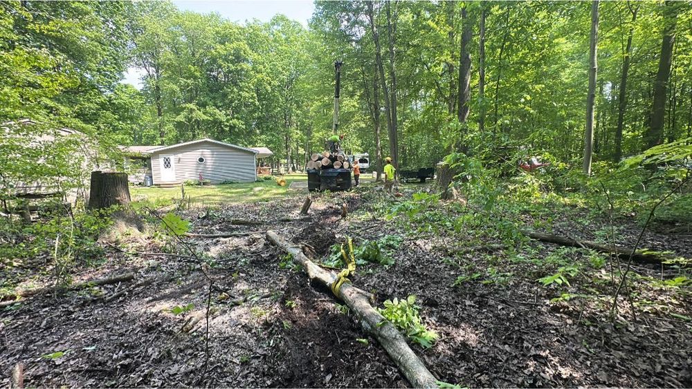 All Photos for Mad Tree Service in Cochranton, PA