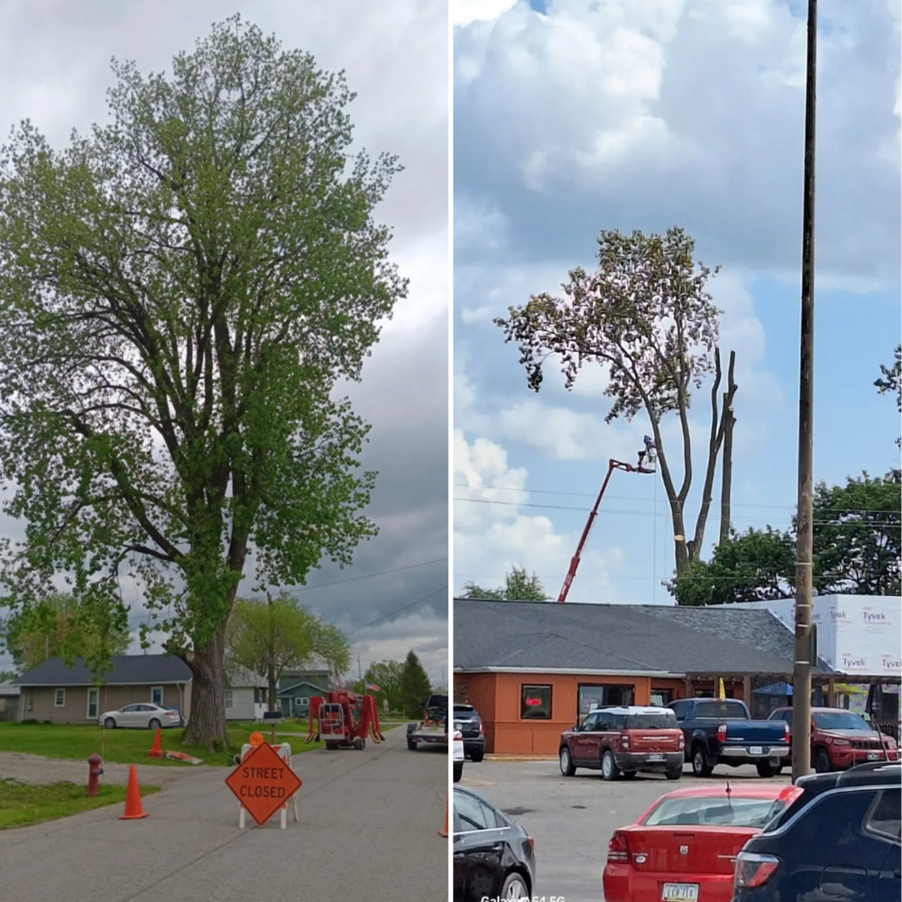 All Photos for Lawn Ranger Yard And Tree Service LLC in Ottumwa, IA