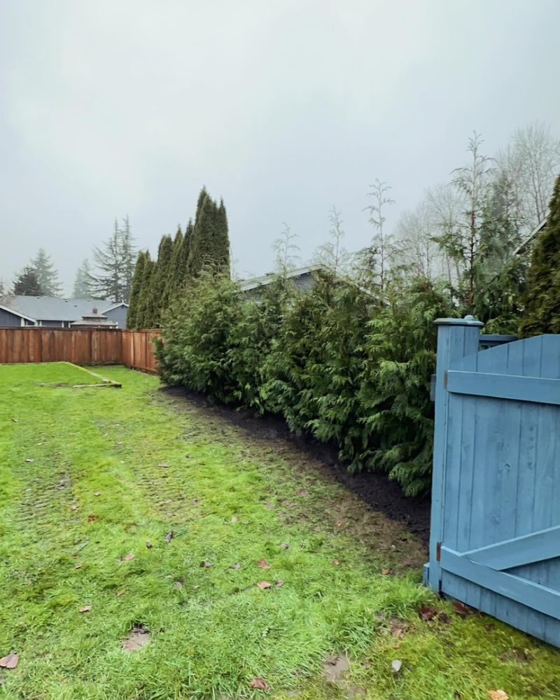 Landscaping for SAW Enterprises  in Arlington , WA