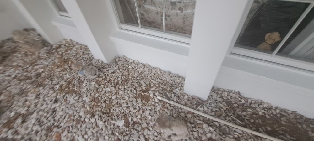 All Photos for Perfection Custom Painting LLC in Port Charlotte, FL