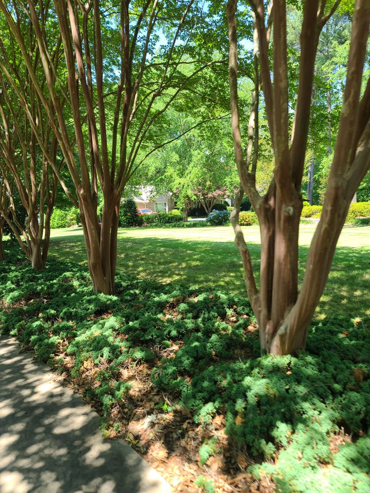 All Photos for Westscape Designs in Lake Gaston, NC