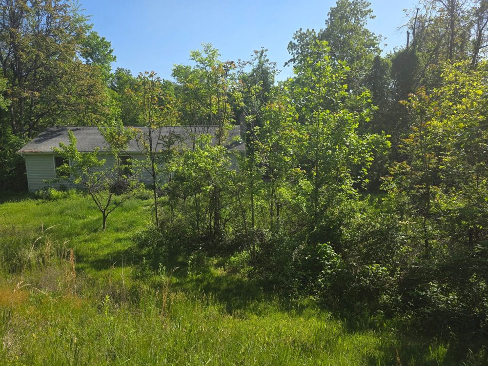 Our Tree & Shrub Care service keeps your landscape healthy, vibrant, and beautiful with expert pruning, fertilization, pest management, and seasonal attention tailored to your property’s unique needs. for Abbott's Lawn & Landscape in Manchester, PA