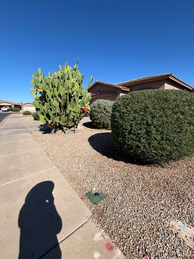 All Photos for Good Hands Landscape in Maricopa, AZ