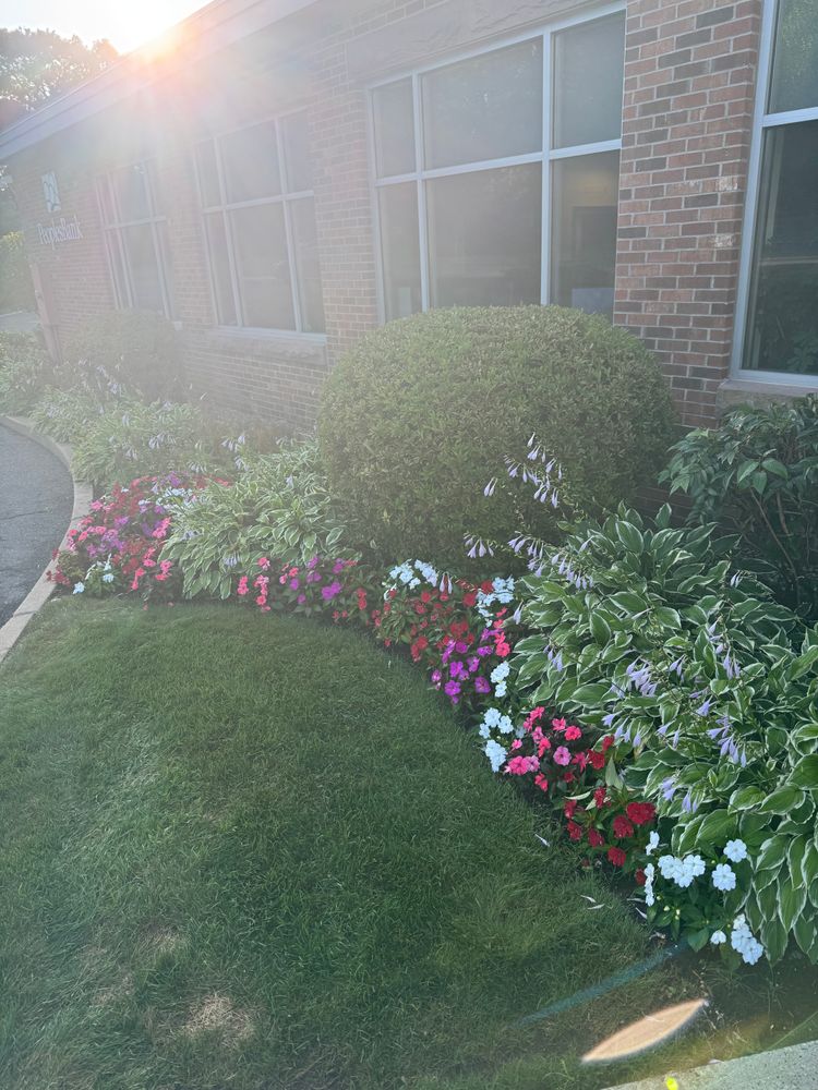 All Photos for Adams Landscaping in Springfield, MA