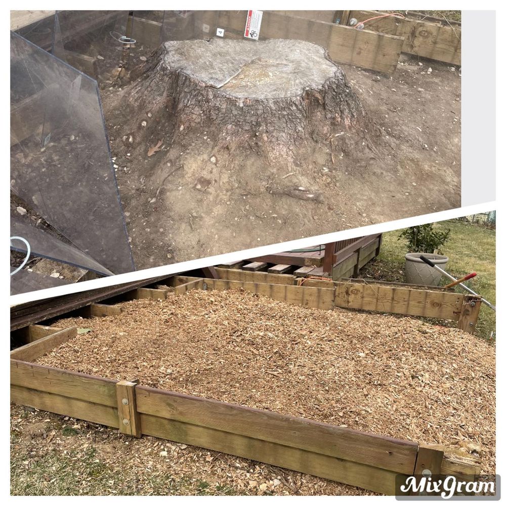 All Photos for Mad Dust Stump Grinding in Howard County, MD