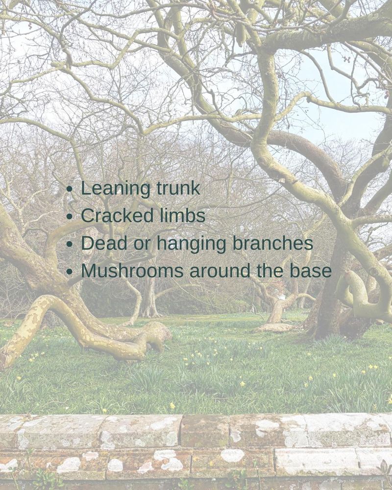 All Photos for Oakwood Tree Removal LLC in Oak Creek,  WI