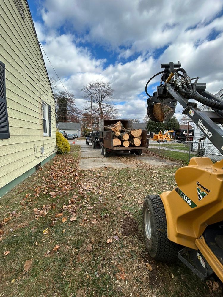All Photos for Hingewood Tree Service in Salem, NJ