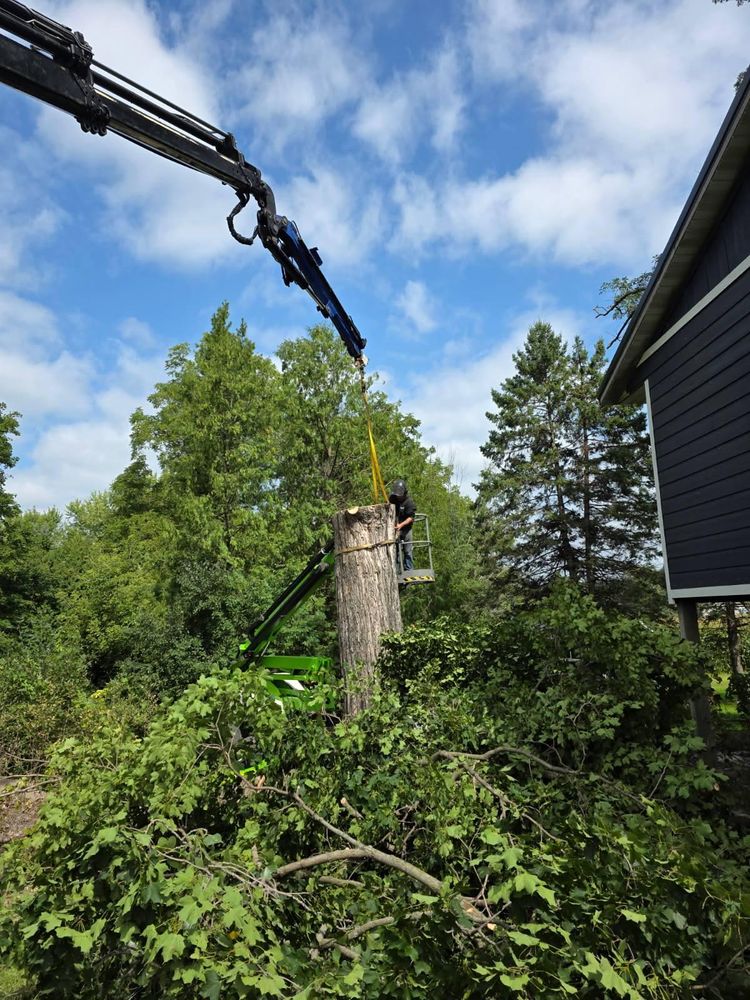 All Photos for Down To Earth Tree Service in Red Wing, MN