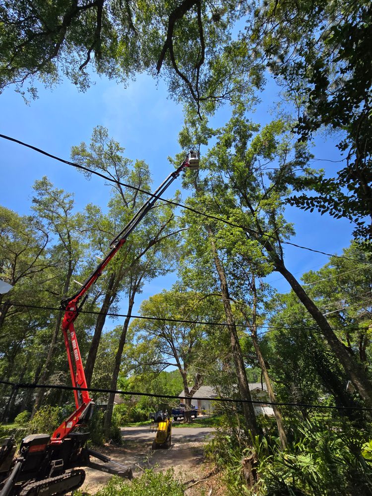 All Photos for Near Me Tree Service, Inc. in DeLand, FL