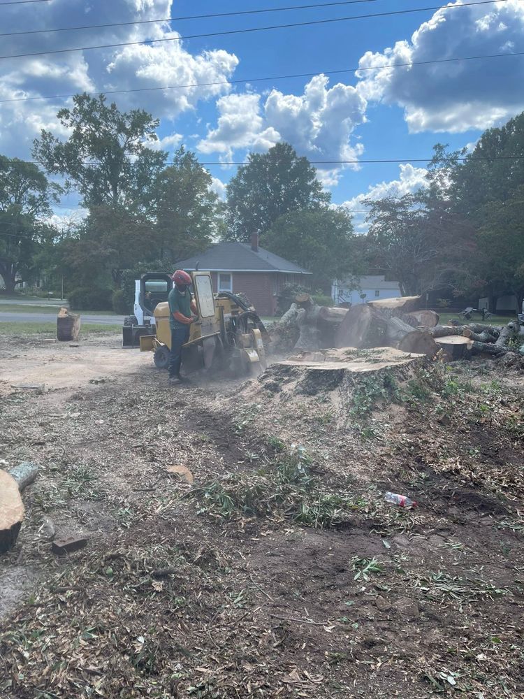 All Photos for J&J Tree Services in Raleigh, NC