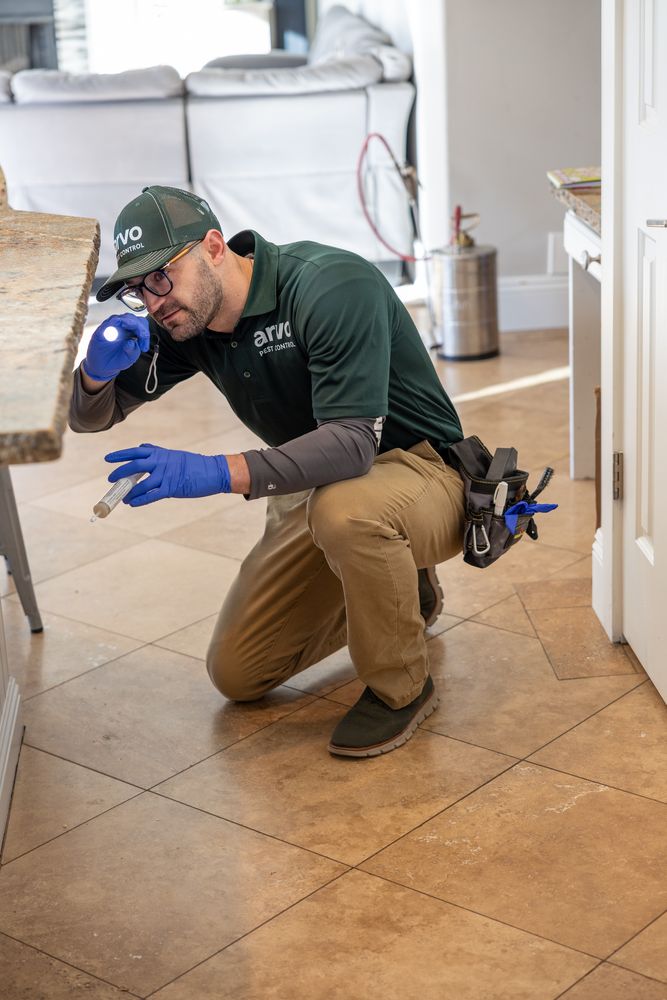 All Photos for Arvo Pest Control in Sandy, UT