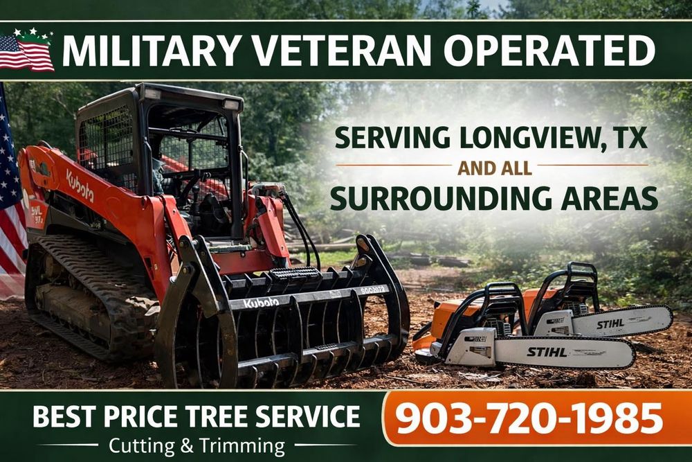 Tree Removal for Best Price Tree Service in Hallsville, TX