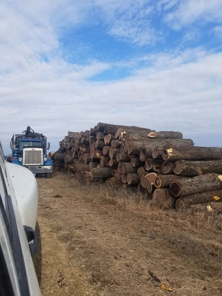 Logging for Pure Iowa Logging in Cedar Rapids, Iowa