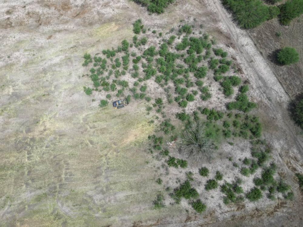 All Photos for Hernandez Land Clearing Services in Alice, TX