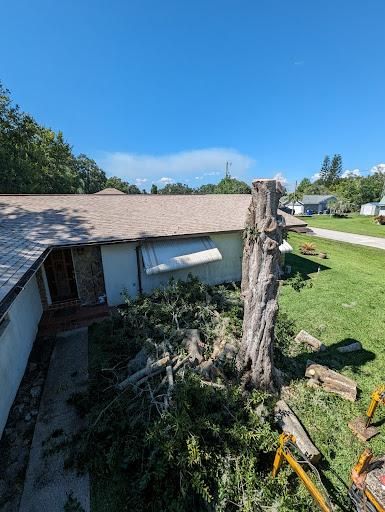 All Photos for Regal Tree Service and Stump Grinding in Wauchula, FL