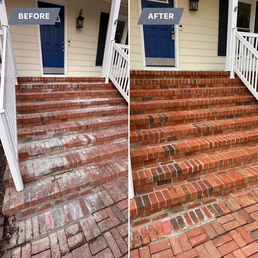 All Photos for LeafTide Solutions in Richmond, VA