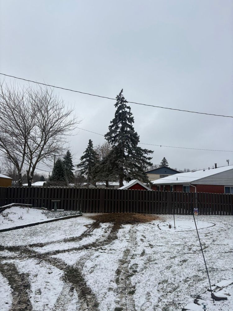 All Photos for Dig-It Tree Company in Mason, OH