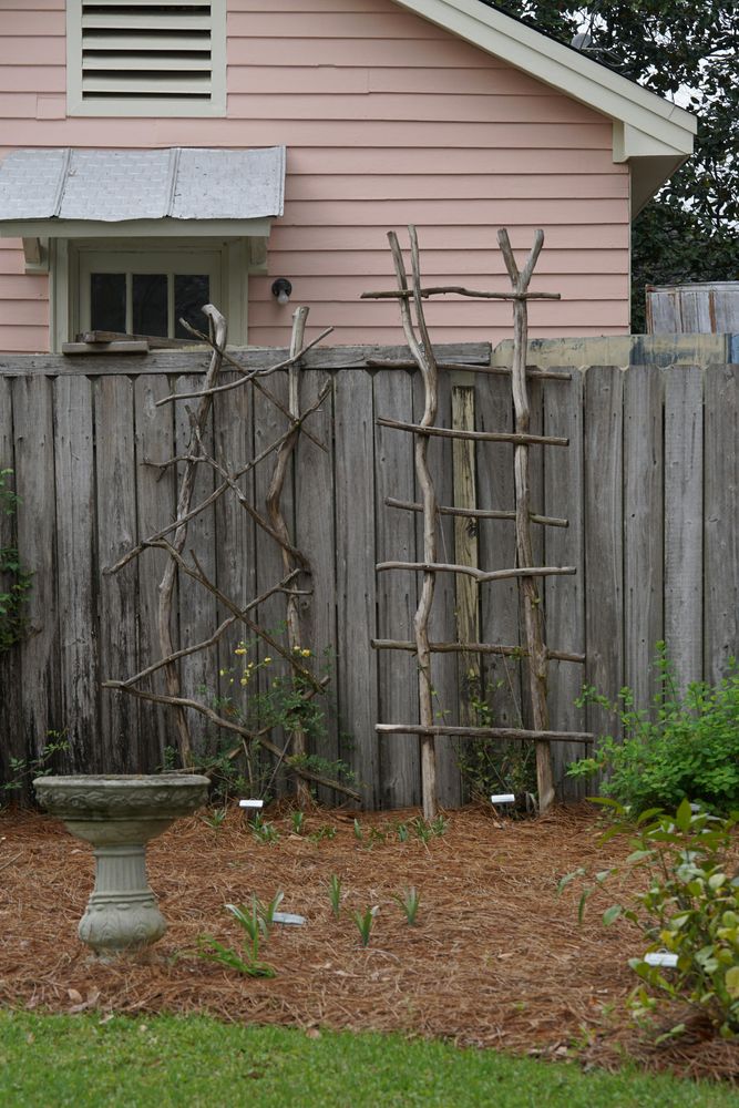 All Photos for Nice Image Landscaping Inc. in Fresno, CA
