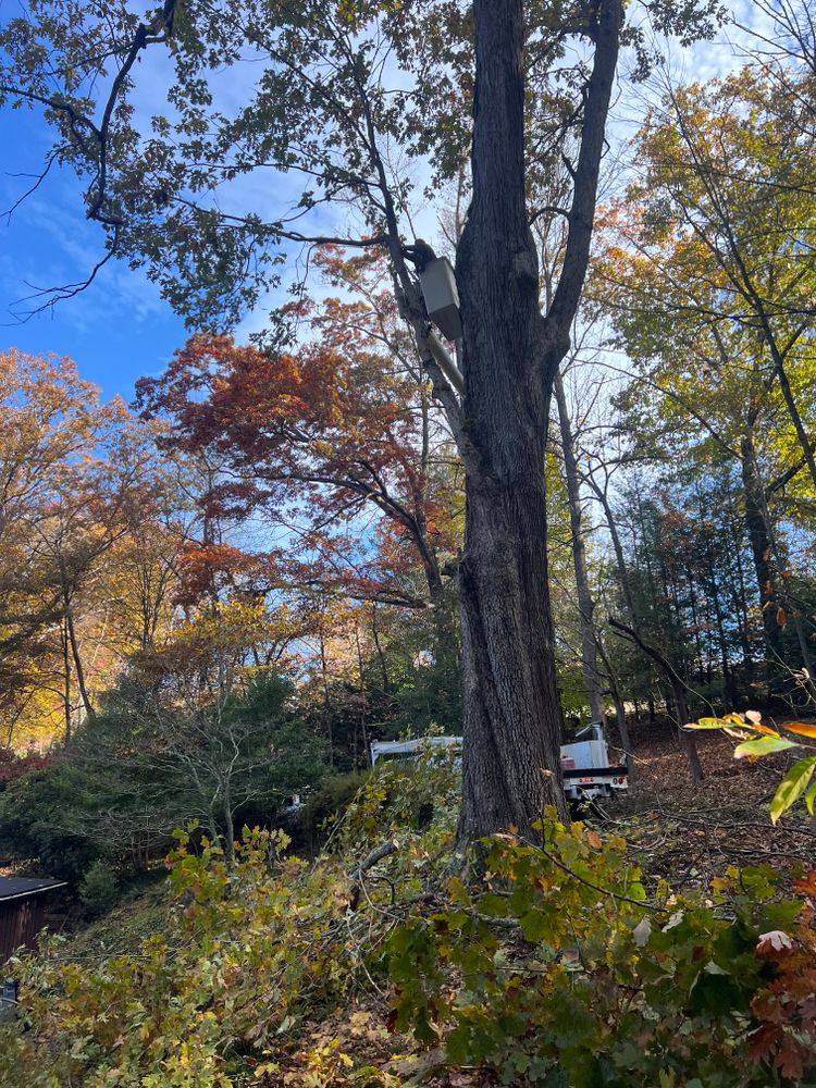 All Photos for Ground To Sky Tree Care in Asheville, North Carolina