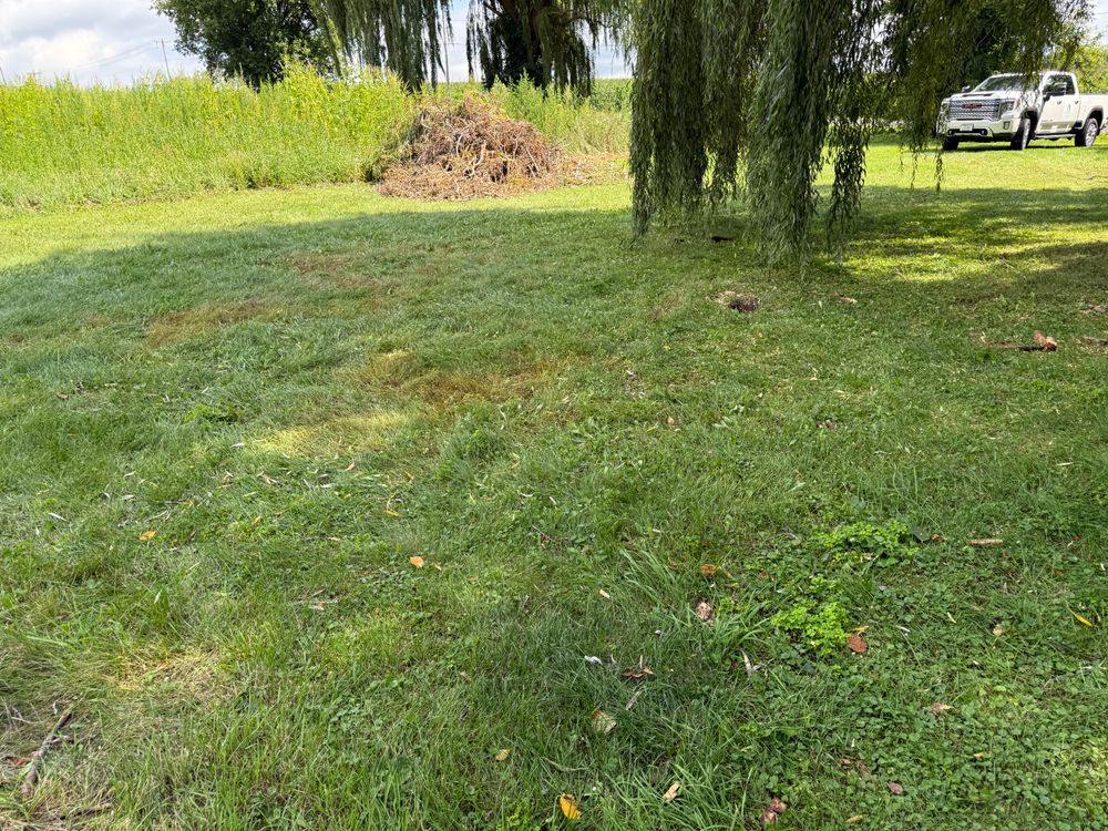 All Photos for Perfect Lawn Solutions LLC in Marshall, WI