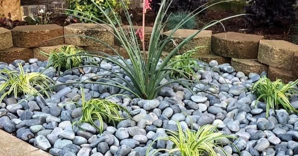 All Photos for Divine Landscaping  in Stillwater, OK