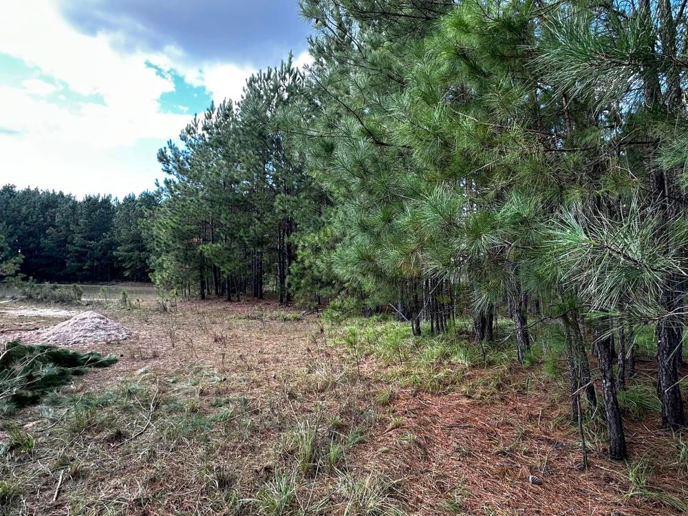 Excavating for Iron Industries in Bluffton, SC