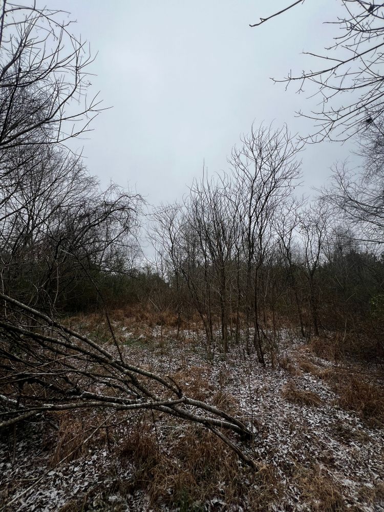 All Photos for Michael Way Acres in Woodlawn, TN