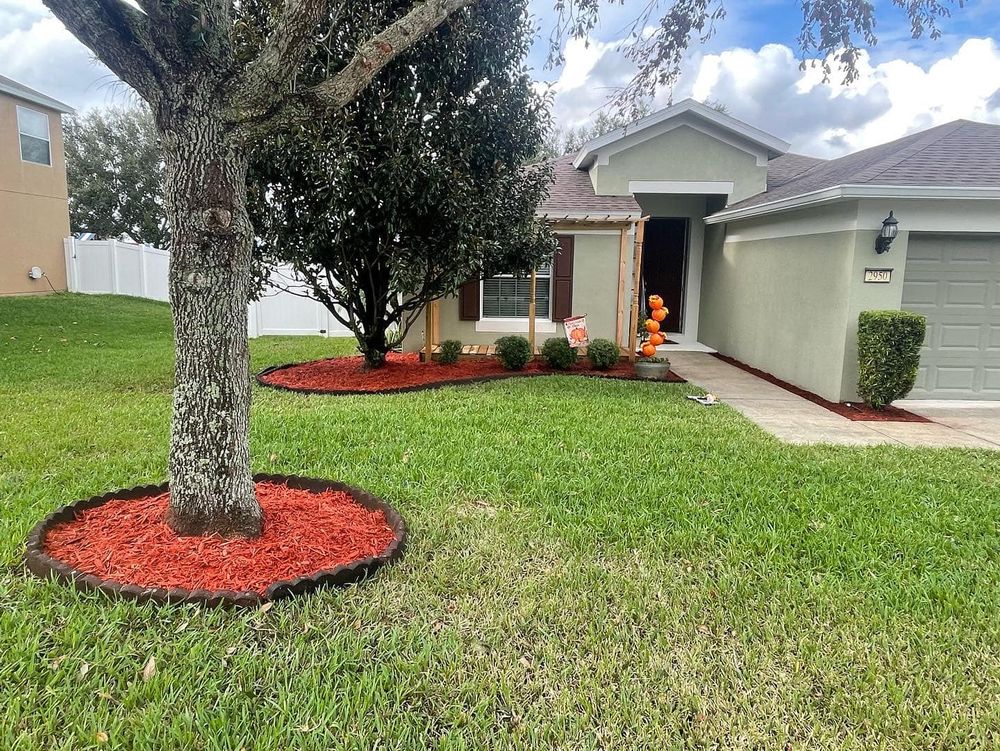 Dandelion Landscaping team in Clermont, FL - people or person