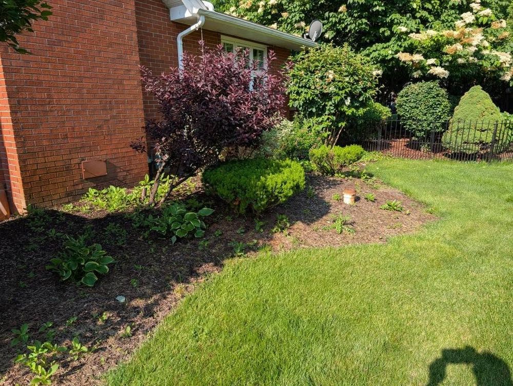 Landscaping for Knapps Landscaping and Lawn Care in Marion, OH