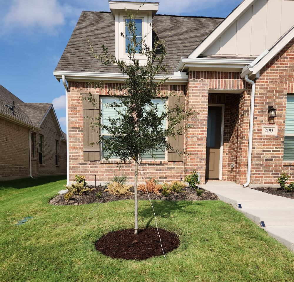 Paquito's Landscaping team in Ellis County, TX - people or person