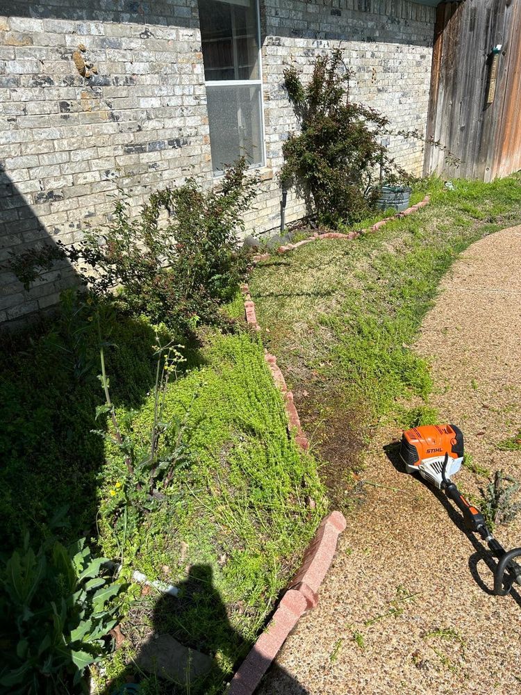 Seasonal color changes for Guerrero's Landscape in Fort Worth,  TX