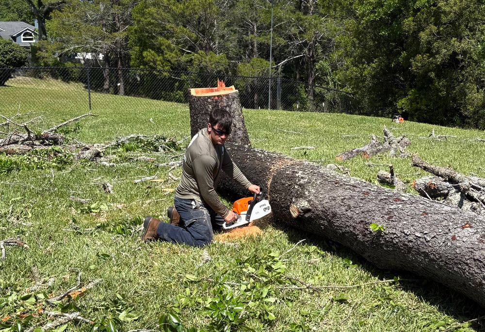 All Photos for Top Notch Tree Experts in Orange Park, FL