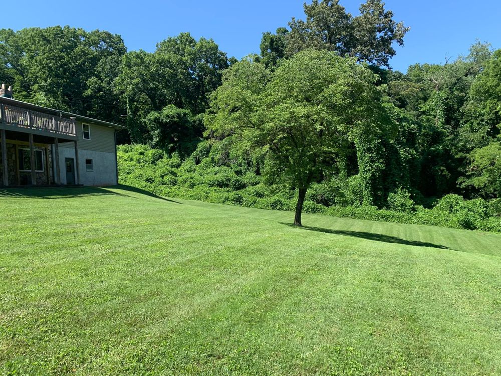 All Photos for ValleyScapes Landscaping in Walden, TN