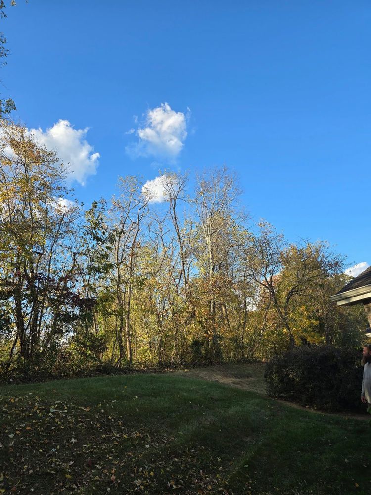 All Photos for M&L Lumber and Excavating in Jonesborough, TN