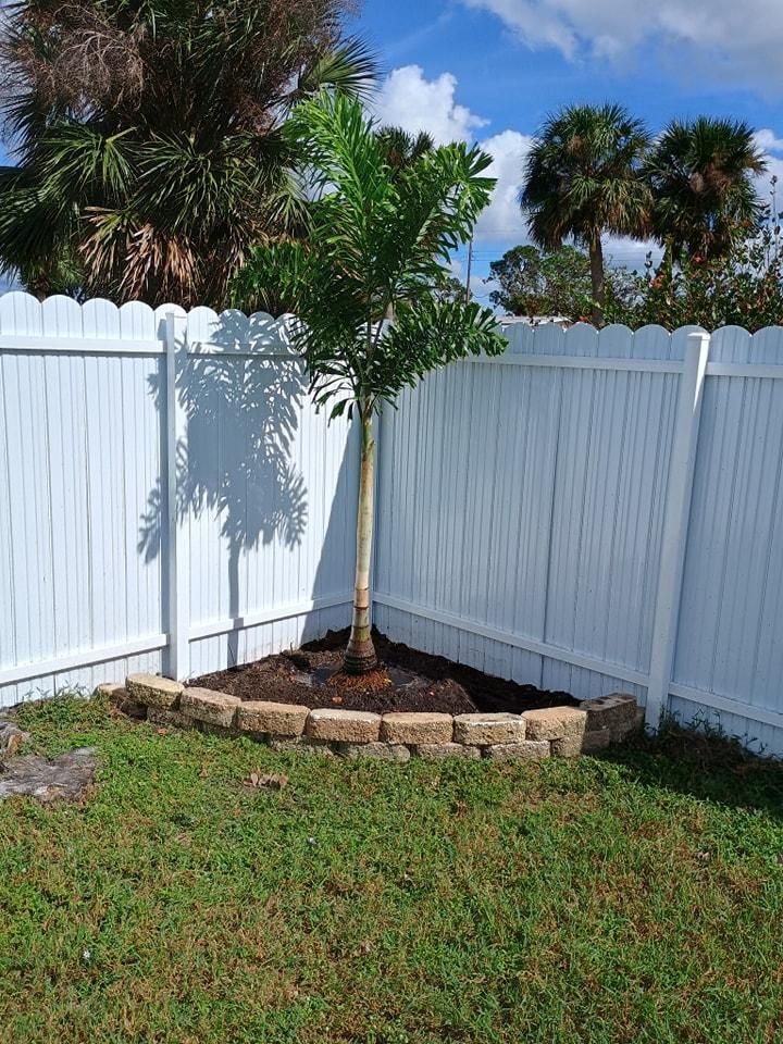 Palm Planting and Maintenance for Unity Maintenance & More LLC in Englewood, FL