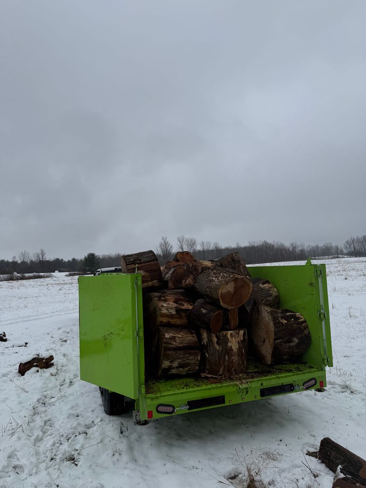 All Photos for Sterlings Tree Removal in Cobleskill, New York