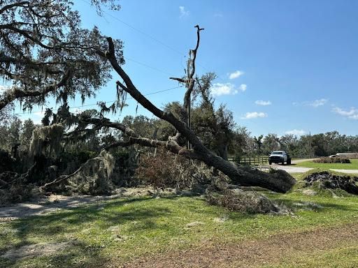 All Photos for Parker Land Services in Lakeland, FL