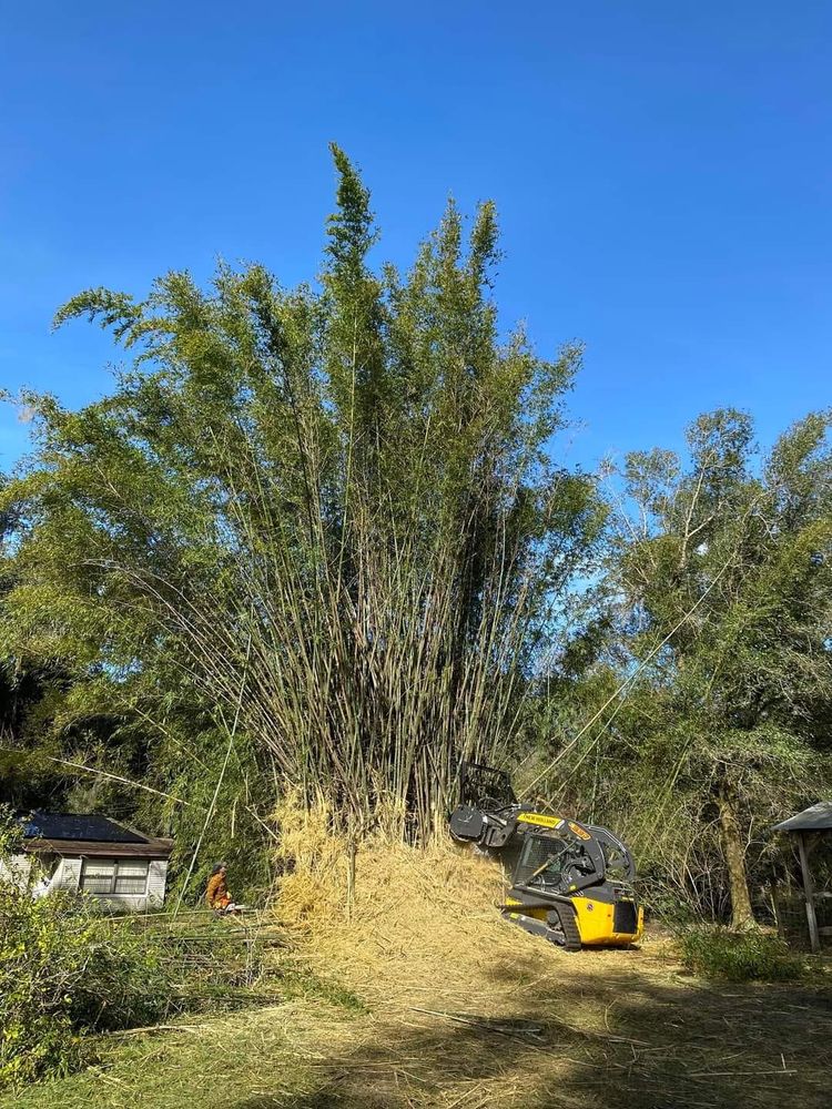 Excavating for Bay Area Bobcat in Riverview, FL