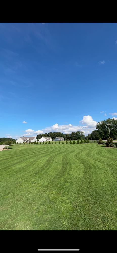 Our professional mowing service ensures a perfectly manicured lawn, enhancing your property's curb appeal. We offer reliable scheduling and expert care to keep your landscape healthy and visually stunning year-round. for WD Lawn Services in Loganville, GA