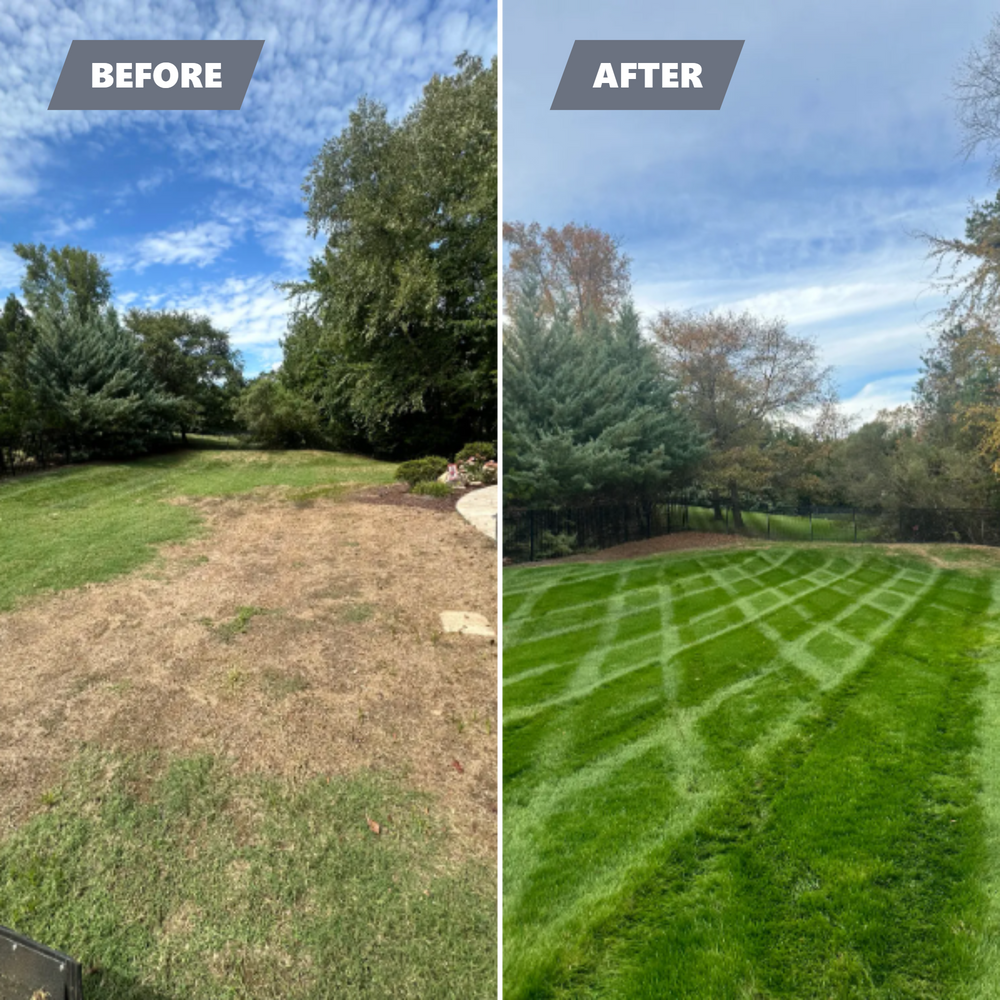 All Photos for Pecina Pine Needles in Monroe, NC