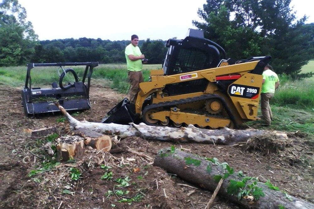 Tree Removal for Lightning Tree Service in Corydon, IN