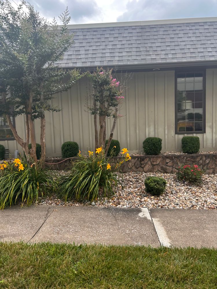 All Photos for Bailey’s Lawn Care & Dirt Service in Murray, KY