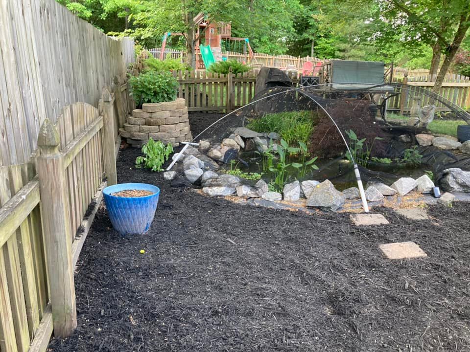 All Photos for Green Horizon Lawncare in North Chesterfield, VA