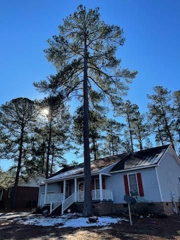 All Photos for Tucker's Tree Service and Stump Grinding in Lugoff, SC