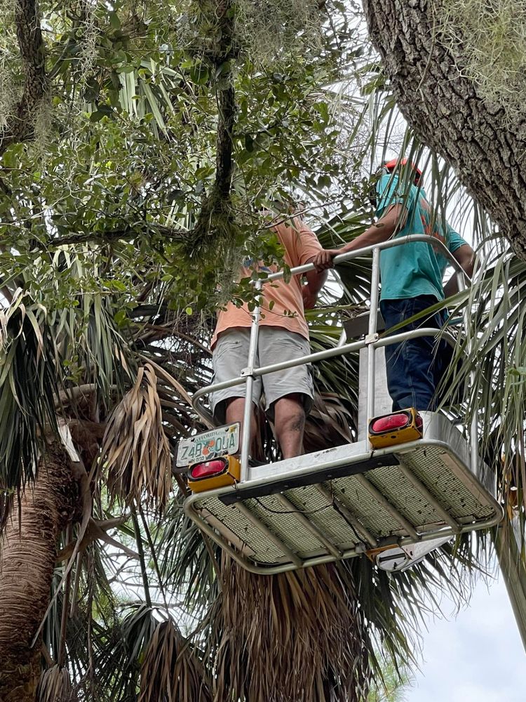 All Photos for Nick of Time Tree Service in North Port, FL